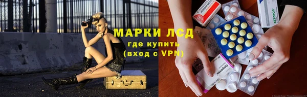 ГАЛЛЮЦИНОГЕННЫЕ ГРИБЫ Белоозёрский