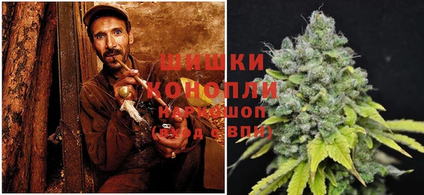 a pvp Белокуриха