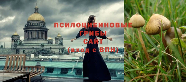 ГАЛЛЮЦИНОГЕННЫЕ ГРИБЫ Белоозёрский