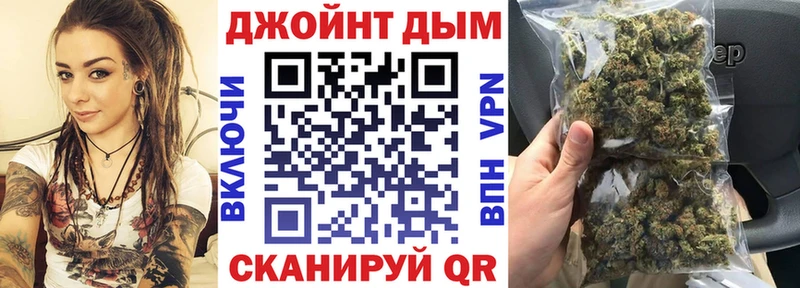 Каннабис планчик  Чернушка 